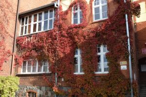 Budynek Poradni Psychologiczno-Pedagogicznej w Wąbrzeźnie