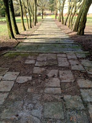 Chodnik przy Specjalnym Ośrodku Szkolno-Wychowawczym we Wroniu
