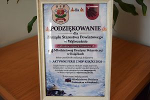 XX sesja Rady Powiatu w Wąbrzeźnie