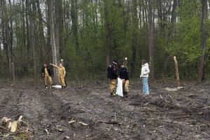 Społeczna akcja sadzenia lasu w Ryńsku, na terenie Leśnictwa Wronie