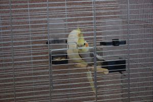 Drzwi Otwarte w Zespole Szkół Ogólnokształcących w Wąbrzeźnie