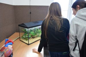 Drzwi Otwarte w Zespole Szkół Ogólnokształcących w Wąbrzeźnie