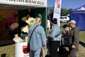 Targi "Lato na Wsi - Święto Smaku i Tradycji" w Minikowie