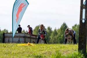 Krajowe Terenowe Wyścigi Chartów – zawody coursingowe w Ludowicach