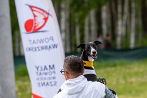 Krajowe Terenowe Wyścigi Chartów – zawody coursingowe w Ludowicach