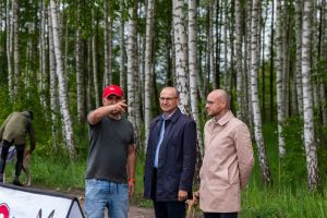 Krajowe Terenowe Wyścigi Chartów – zawody coursingowe w Ludowicach