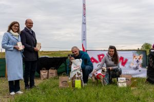 Krajowe Terenowe Wyścigi Chartów – zawody coursingowe w Ludowicach
