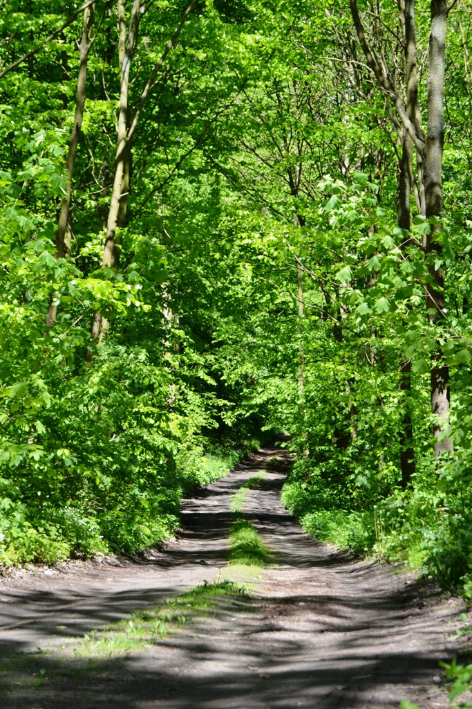 UCHWAŁA ANTYSMOGOWA