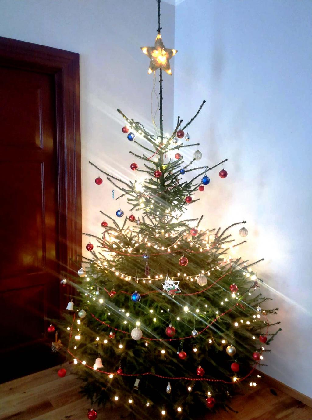 Choinka w Starostwie Powiatowym