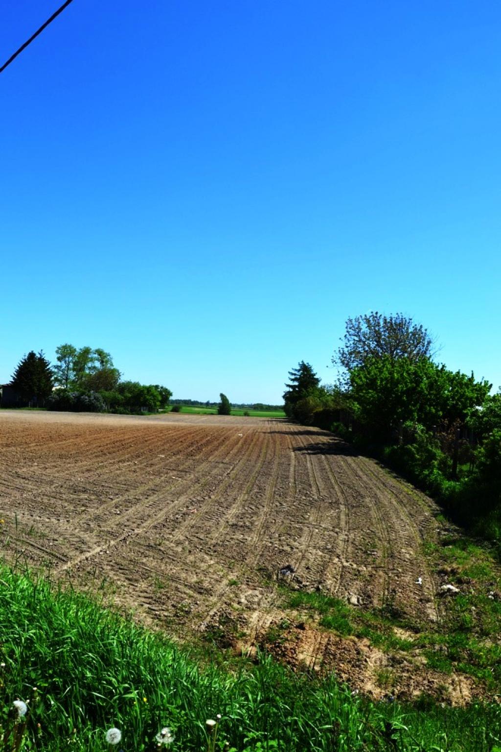 POWSZECHNY SPIS ROLNY 2020