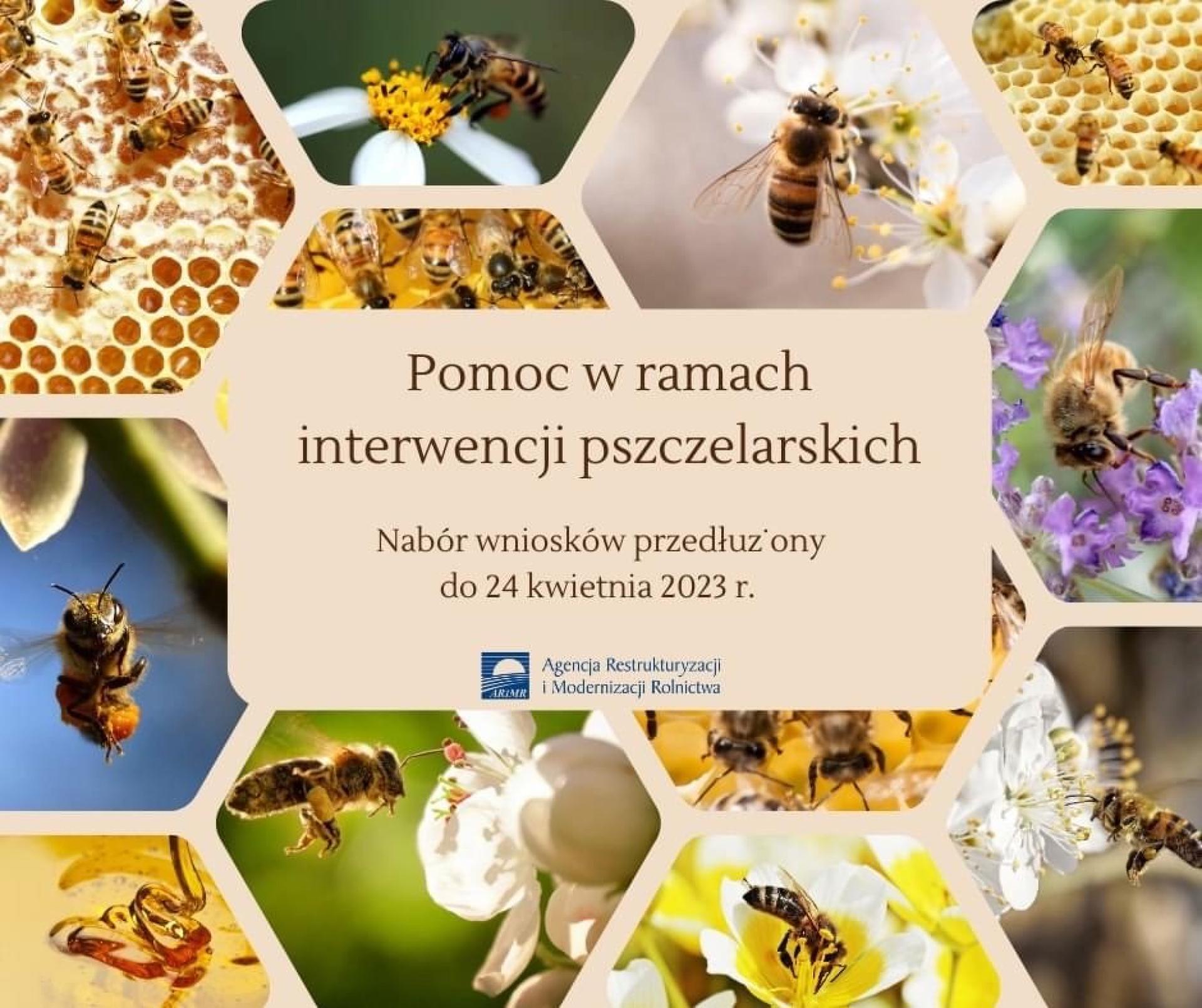 Plakat z napisem pomoc w ramach interwencji pszczelarskich nabór wniosków przedłużony do 24 kwietnia 2023 r.