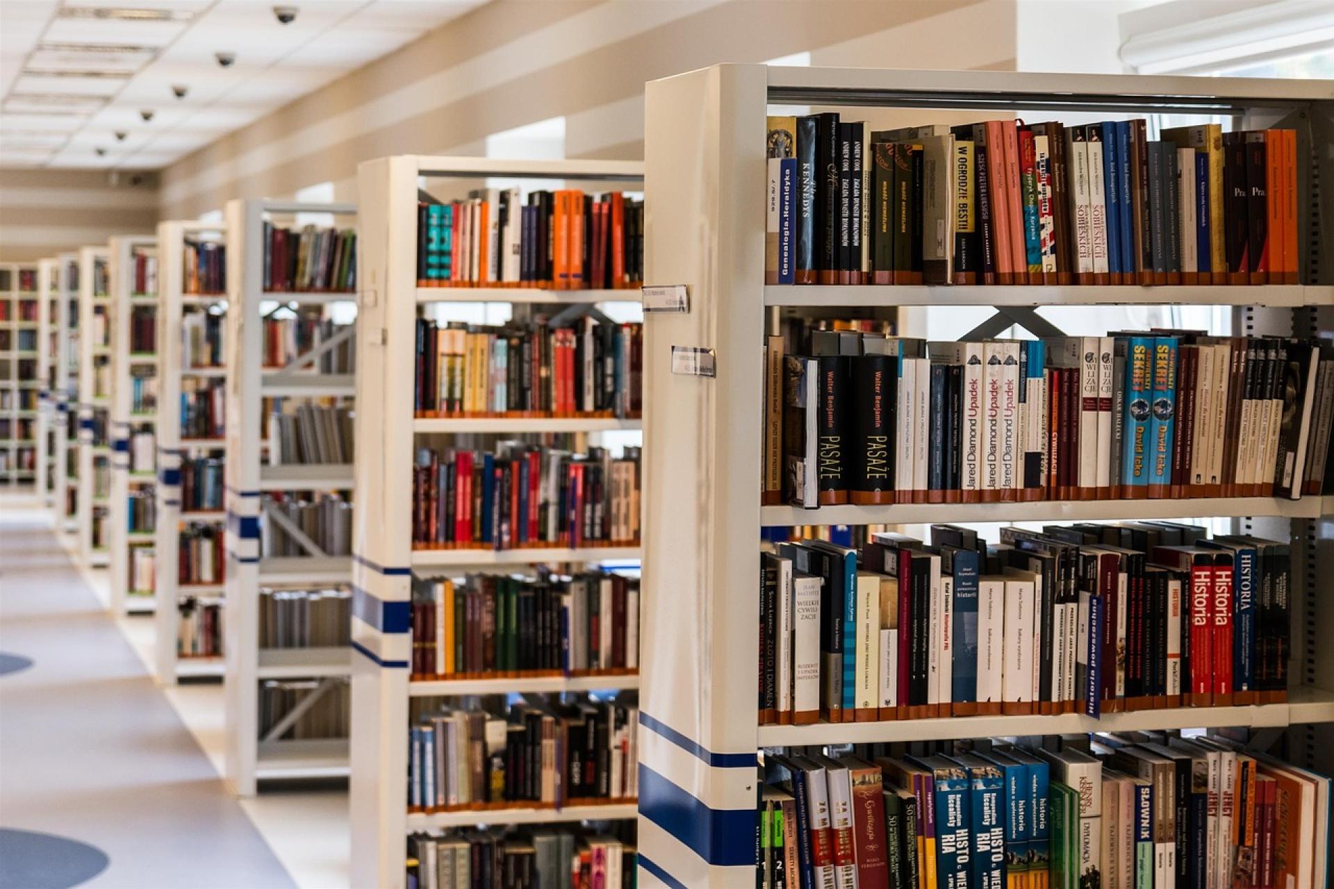 Biblioteki w powiecie wąbrzeskim wypoczywają na urlopach