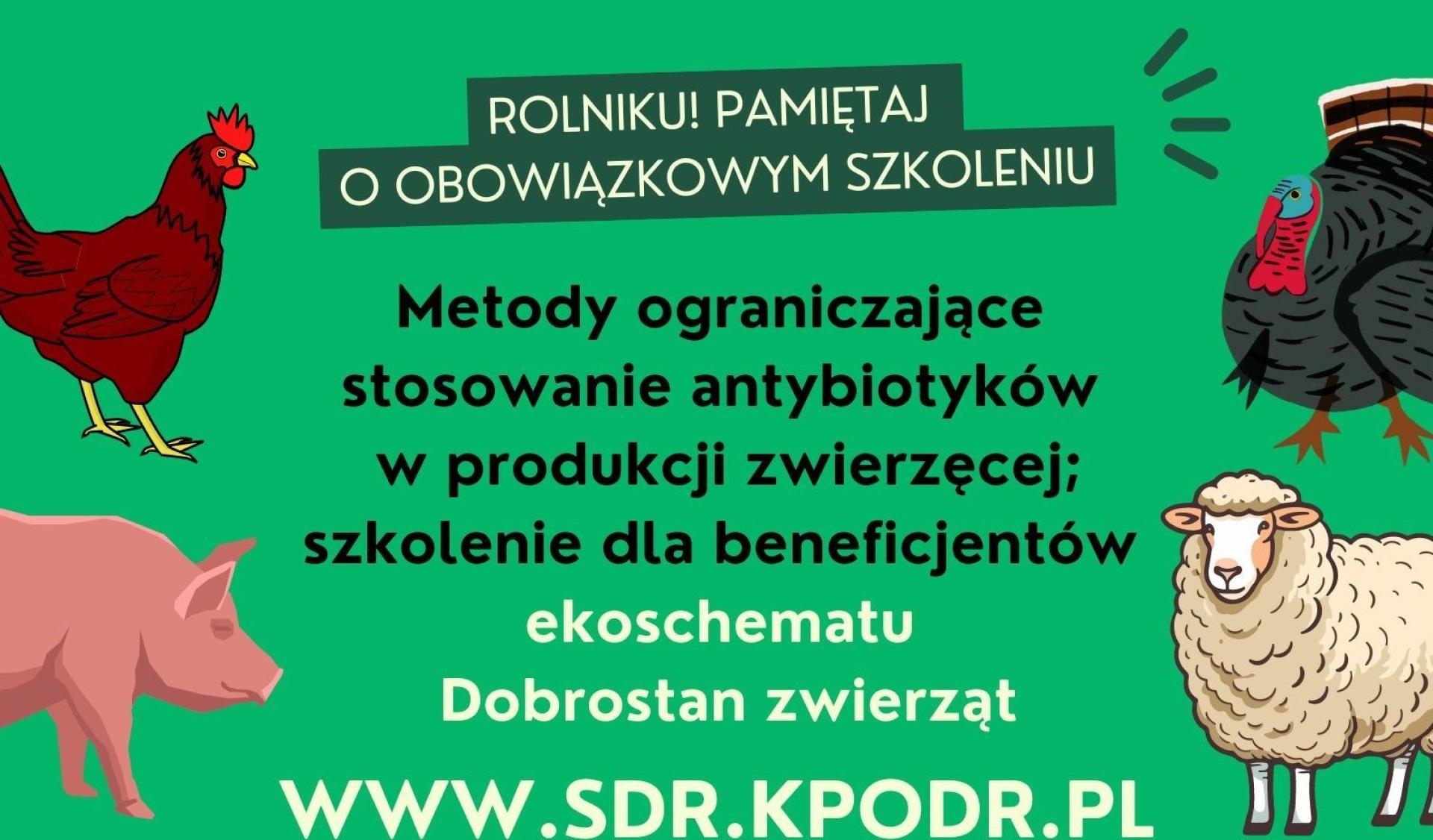 Bezpłatne szkolenie pn.: Metody ograniczające stosowanie antybiotyków w produkcji zwierzęcej – szkolenie dla beneficjentów ekoschematu Dobrostan zwierząt