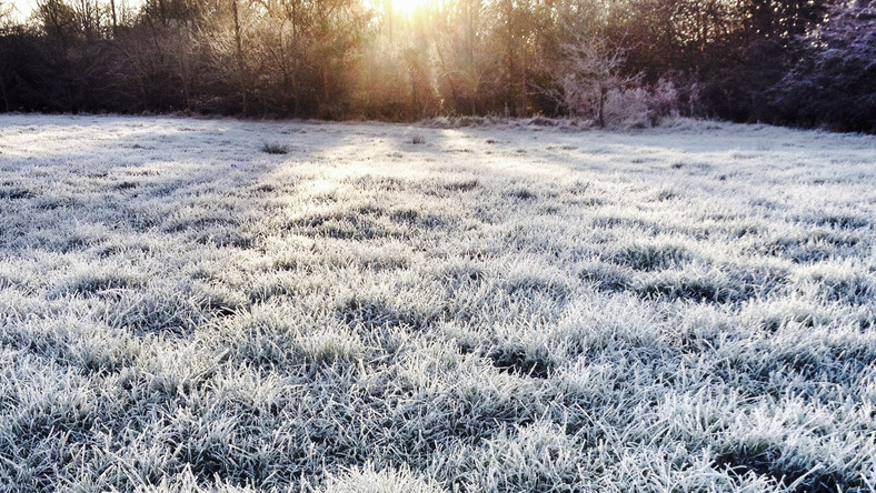 Ostrzeżenie meteorologiczne. Przymrozki 1 stopnia