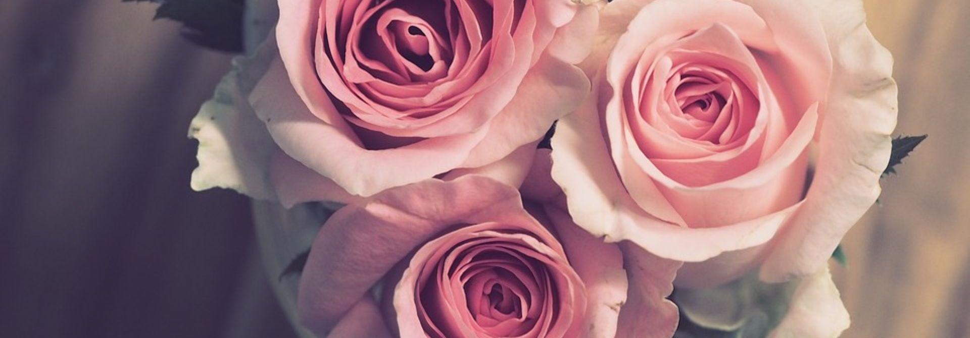 Życznie z okazji Światowego Dnia Terapii Zajęciowej