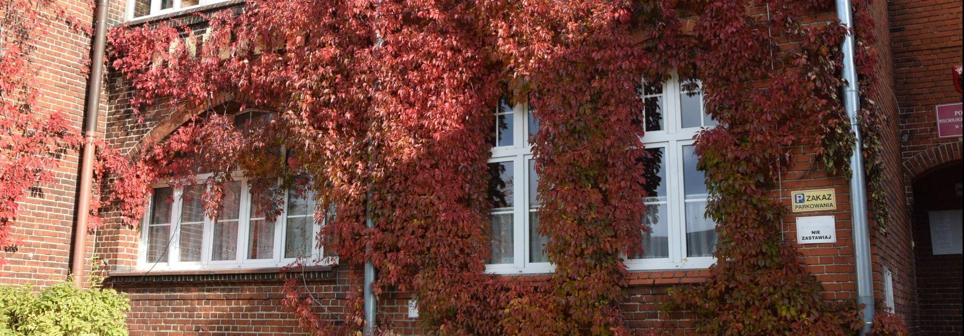 Nowoczesne wsparcie w Poradni Psychologiczno-Pedagogicznej w Wąbrzeźnie