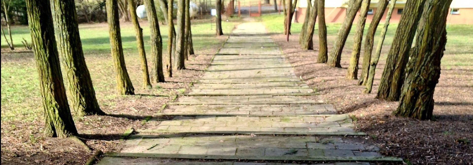 Powiat Wąbrzeski stawia na dostępność – dwa projekty złożone do PFRON