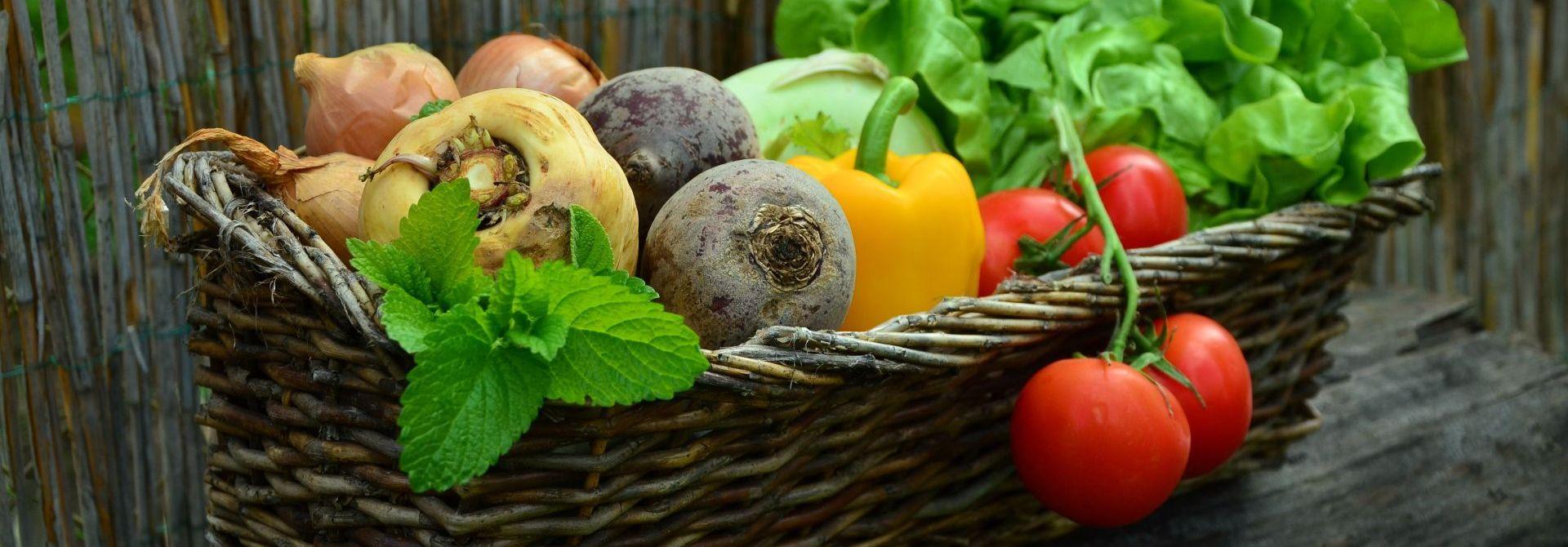 Olimpiada Zdrowia Polskiego Czerwonego Krzyża z Biedronką - kolejny etap!