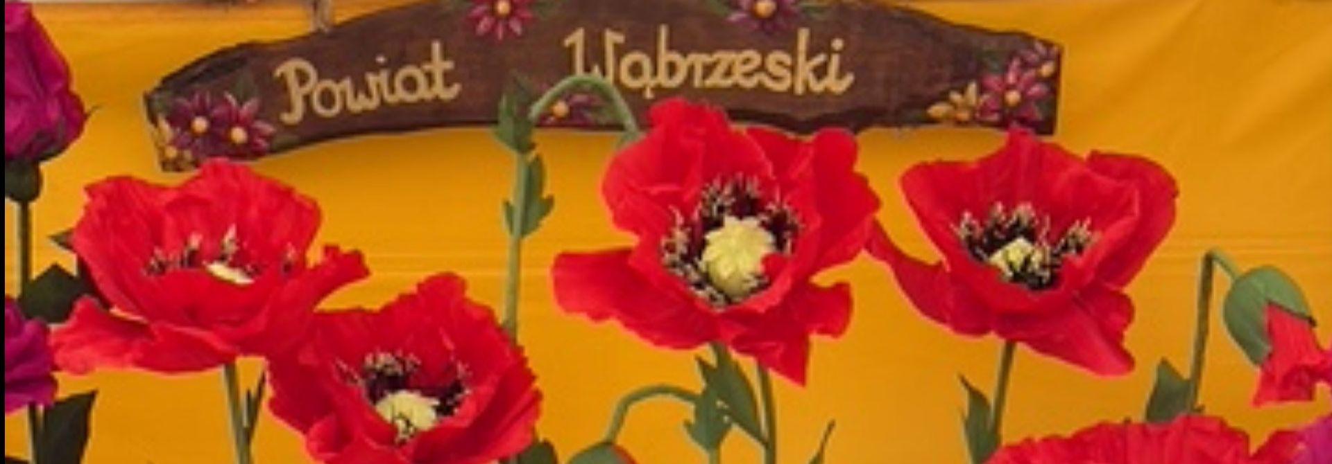 Powiat Wąbrzeski promował lokalne tradycje podczas targów w Minikowie